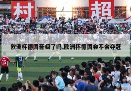 欧洲杯德国晋级了吗,欧洲杯德国会不会夺冠