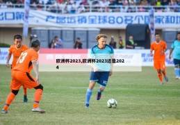 欧洲杯2023,欧洲杯2023还是2024