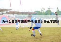 为什么美国不踢世界杯,美国为什么不踢球