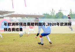 年欧洲杯预选赛规则图片,2020年欧洲杯预选赛结果