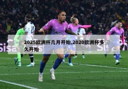 2025欧洲杯几月开始,2020欧洲杯多久开始