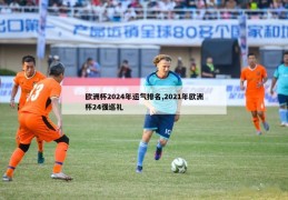 欧洲杯2024年运气排名,2021年欧洲杯24强巡礼