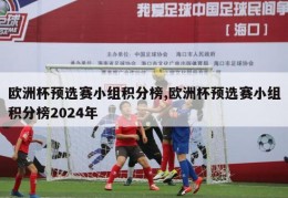 欧洲杯预选赛小组积分榜,欧洲杯预选赛小组积分榜2024年