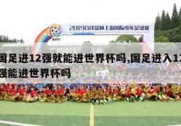 国足进12强就能进世界杯吗,国足进入12强能进世界杯吗