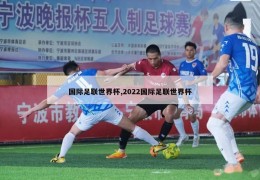 国际足联世界杯,2022国际足联世界杯