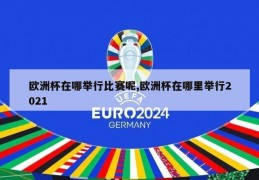 欧洲杯在哪举行比赛呢,欧洲杯在哪里举行2021