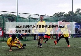 2024欧洲杯小组赛分组,欧洲杯2024在哪个国家